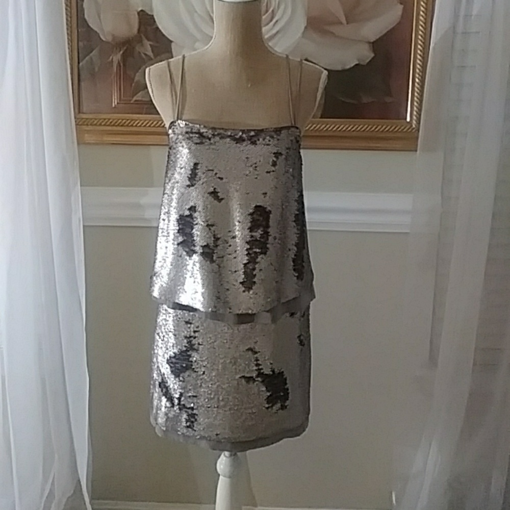 Banana Republic Silver Sequins & Silk Sheer Dress